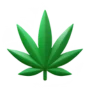 CBD Boxes